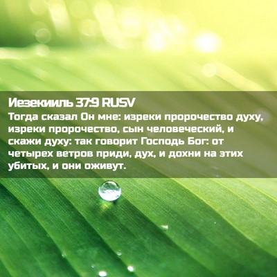 Picture 02 - Иезекииль 37:9 RUSV - Тогда сказал Он мне: изреки - Bible Verse Picture