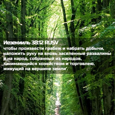 Picture 02 - Иезекииль 38:12 RUSV - чтобы произвести грабеж и - Bible Verse Picture