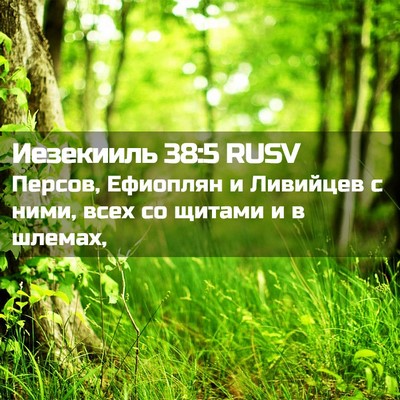 Picture 02 - Иезекииль 38:5 RUSV - Персов, Ефиоплян и - Bible Verse Picture