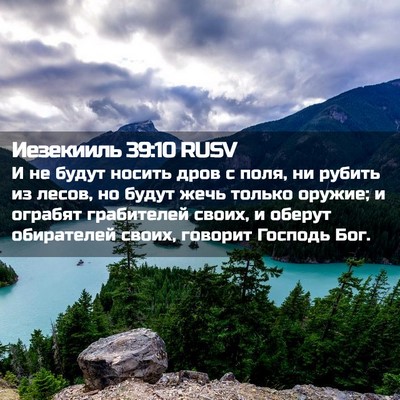 Picture 02 - Иезекииль 39:10 RUSV - И не будут носить дров с - Bible Verse Picture