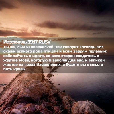 Picture 02 - Иезекииль 39:17 RUSV - Ты же, сын человеческий, - Bible Verse Picture