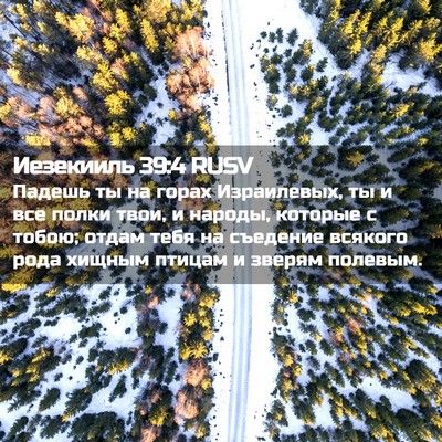 Picture 02 - Иезекииль 39:4 RUSV - Падешь ты на горах - Bible Verse Picture