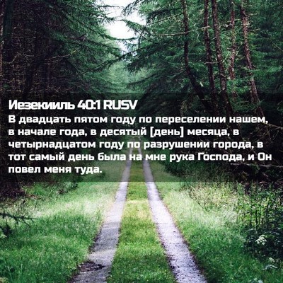 Picture 02 - Иезекииль 40:1 RUSV - В двадцать пятом году по - Bible Verse Picture