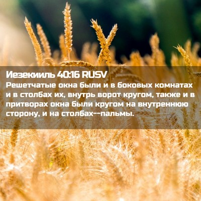 Picture 02 - Иезекииль 40:16 RUSV - Решетчатые окна были и в - Bible Verse Picture