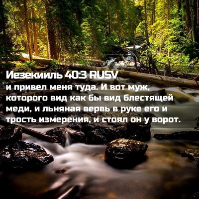 Picture 02 - Иезекииль 40:3 RUSV - и привел меня туда. И вот - Bible Verse Picture