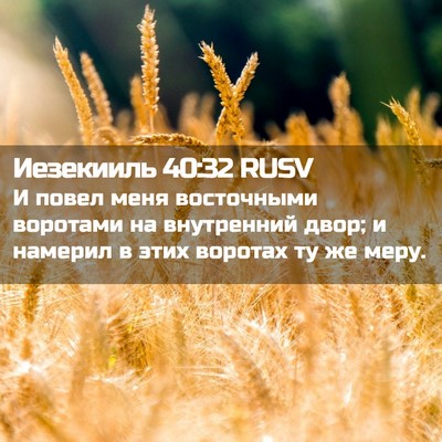 Picture 02 - Иезекииль 40:32 RUSV - И повел меня восточными - Bible Verse Picture