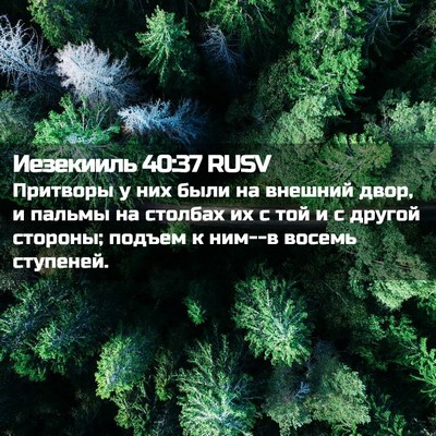 Picture 02 - Иезекииль 40:37 RUSV - Притворы у них были на - Bible Verse Picture