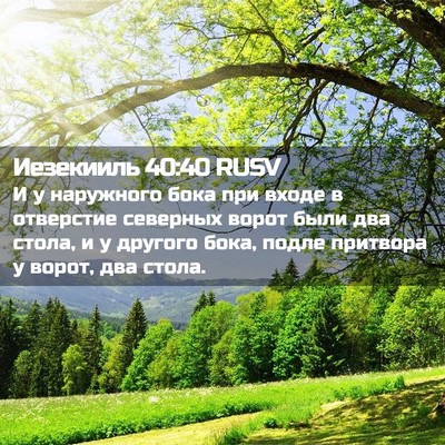 Picture 02 - Иезекииль 40:40 RUSV - И у наружного бока при - Bible Verse Picture