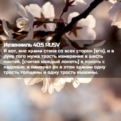 Picture 02 - Иезекииль 40:5 RUSV - И вот, вне храма стена со - Bible Verse Picture