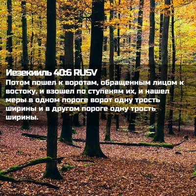 Picture 02 - Иезекииль 40:6 RUSV - Потом пошел к воротам, - Bible Verse Picture