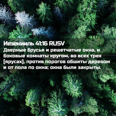 Picture 02 - Иезекииль 41:16 RUSV - Дверные брусья и - Bible Verse Picture