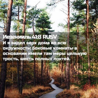 Picture 02 - Иезекииль 41:8 RUSV - И я видел верх дома во всю - Bible Verse Picture