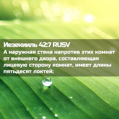 Picture 02 - Иезекииль 42:7 RUSV - А наружная стена напротив - Bible Verse Picture