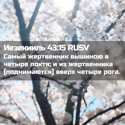 Picture 02 - Иезекииль 43:15 RUSV - Самый жертвенник вышиною в - Bible Verse Picture