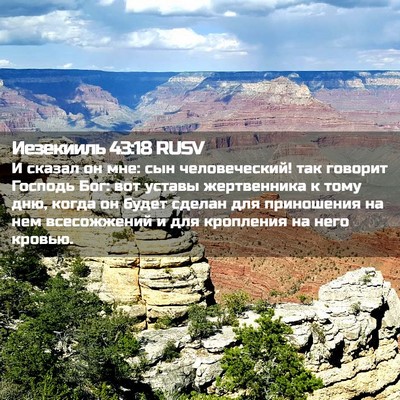 Picture 02 - Иезекииль 43:18 RUSV - И сказал он мне: сын - Bible Verse Picture