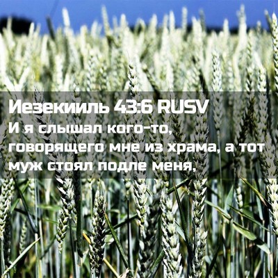Picture 02 - Иезекииль 43:6 RUSV - И я слышал кого-то, - Bible Verse Picture