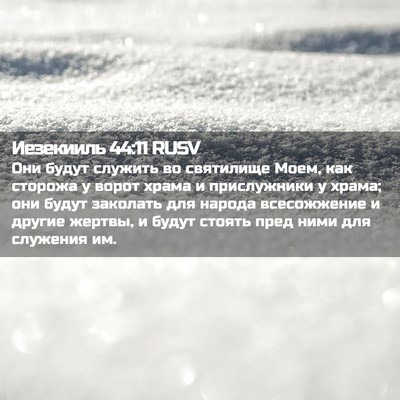 Picture 02 - Иезекииль 44:11 RUSV - Они будут служить во - Bible Verse Picture