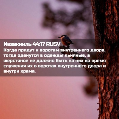 Picture 02 - Иезекииль 44:17 RUSV - Когда придут к воротам - Bible Verse Picture