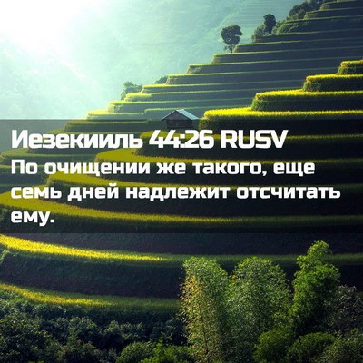 Picture 02 - Иезекииль 44:26 RUSV - По очищении же такого, еще - Bible Verse Picture