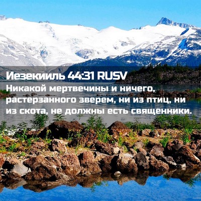 Picture 02 - Иезекииль 44:31 RUSV - Никакой мертвечины и - Bible Verse Picture