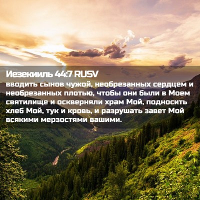 Picture 02 - Иезекииль 44:7 RUSV - вводить сынов чужой, - Bible Verse Picture