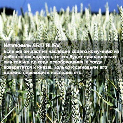 Picture 02 - Иезекииль 46:17 RUSV - Если же он даст из наследия - Bible Verse Picture