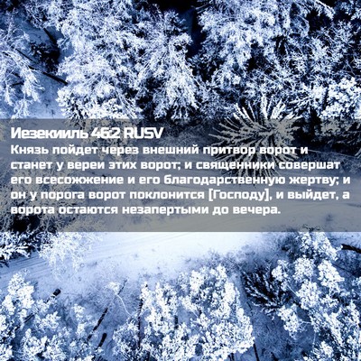 Picture 02 - Иезекииль 46:2 RUSV - Князь пойдет через внешний - Bible Verse Picture