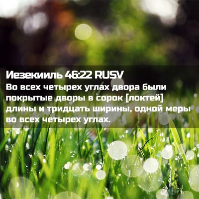 Picture 02 - Иезекииль 46:22 RUSV - Во всех четырех углах - Bible Verse Picture