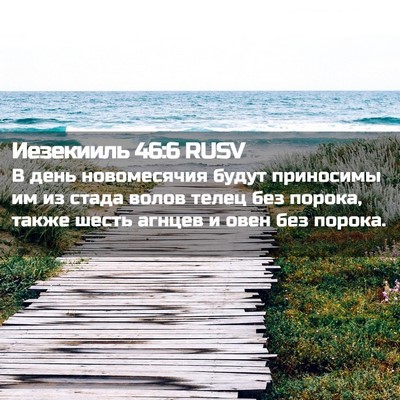 Picture 02 - Иезекииль 46:6 RUSV - В день новомесячия будут - Bible Verse Picture