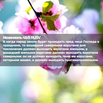 Picture 02 - Иезекииль 46:9 RUSV - А когда народ земли будет - Bible Verse Picture