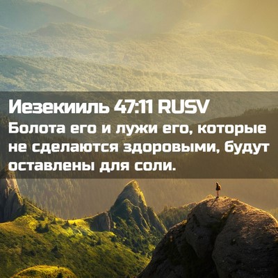 Picture 02 - Иезекииль 47:11 RUSV - Болота его и лужи его, - Bible Verse Picture