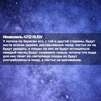 Picture 02 - Иезекииль 47:12 RUSV - У потока по берегам его, с - Bible Verse Picture