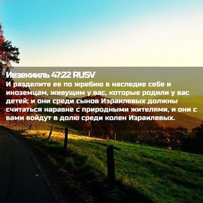 Picture 02 - Иезекииль 47:22 RUSV - И разделите ее по жребию в - Bible Verse Picture
