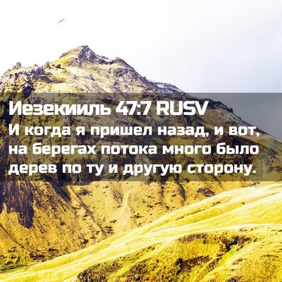 Picture 02 - Иезекииль 47:7 RUSV - И когда я пришел назад, и - Bible Verse Picture