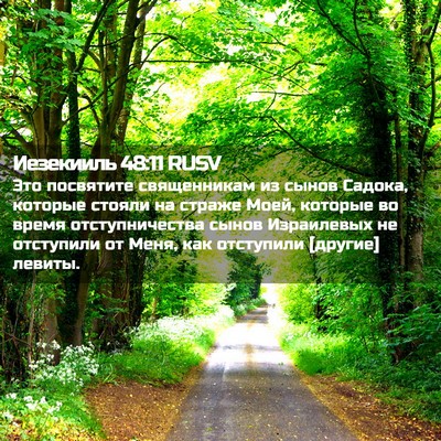 Picture 02 - Иезекииль 48:11 RUSV - Это посвятите священникам - Bible Verse Picture