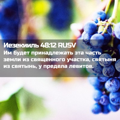 Picture 02 - Иезекииль 48:12 RUSV - Им будет принадлежать эта - Bible Verse Picture