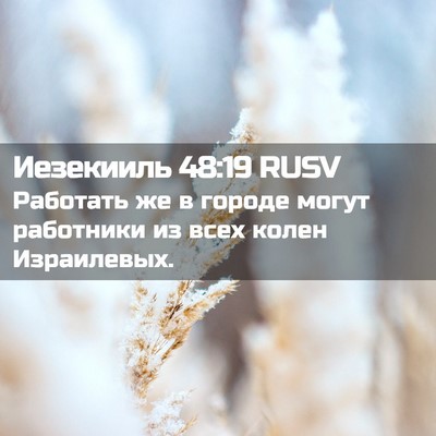 Picture 02 - Иезекииль 48:19 RUSV - Работать же в городе могут - Bible Verse Picture