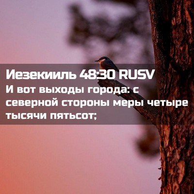 Picture 02 - Иезекииль 48:30 RUSV - И вот выходы города: с - Bible Verse Picture