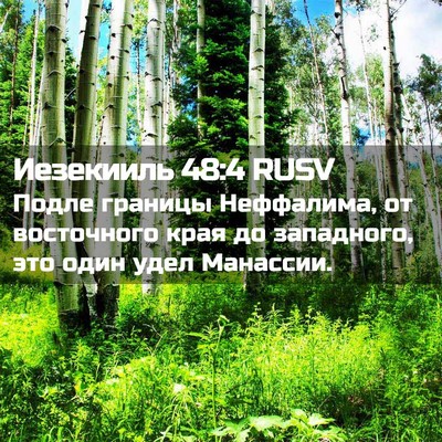 Picture 02 - Иезекииль 48:4 RUSV - Подле границы Неффалима, - Bible Verse Picture