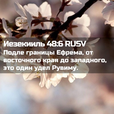 Picture 02 - Иезекииль 48:6 RUSV - Подле границы Ефрема, от - Bible Verse Picture