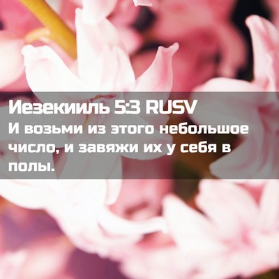 Picture 02 - Иезекииль 5:3 RUSV - И возьми из этого - Bible Verse Picture