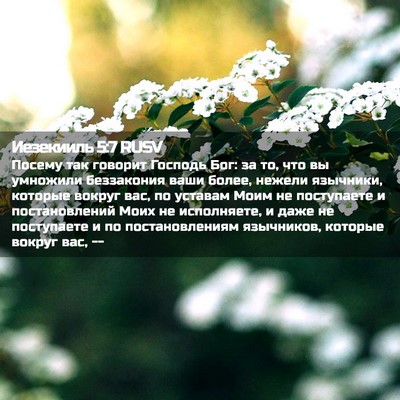 Picture 02 - Иезекииль 5:7 RUSV - Посему так говорит Господь - Bible Verse Picture