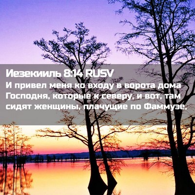 Picture 02 - Иезекииль 8:14 RUSV - И привел меня ко входу в - Bible Verse Picture