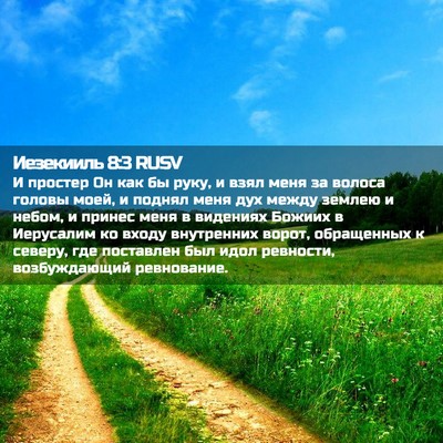 Picture 02 - Иезекииль 8:3 RUSV - И простер Он как бы руку, и - Bible Verse Picture