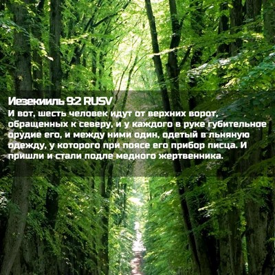 Picture 02 - Иезекииль 9:2 RUSV - И вот, шесть человек идут - Bible Verse Picture
