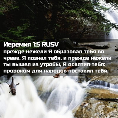 Picture 02 - Иеремия 1:5 RUSV - прежде нежели Я образовал - Bible Verse Picture