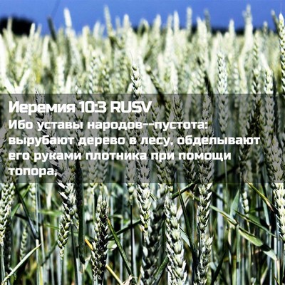 Picture 02 - Иеремия 10:3 RUSV - Ибо уставы - Bible Verse Picture