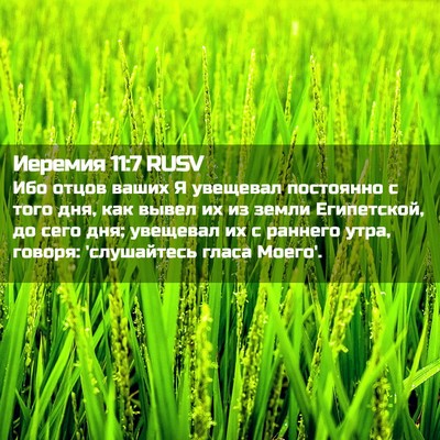 Picture 02 - Иеремия 11:7 RUSV - Ибо отцов ваших Я увещевал - Bible Verse Picture