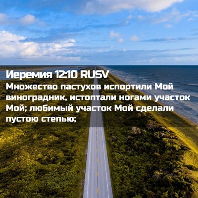 Picture 02 - Иеремия 12:10 RUSV - Множество пастухов - Bible Verse Picture