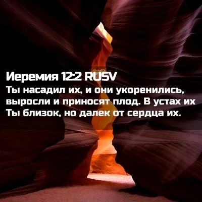 Picture 02 - Иеремия 12:2 RUSV - Ты насадил их, и они - Bible Verse Picture